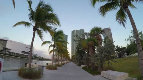 4K Daybreak walk through park at Downtown Miami, Florida Stock Footage 61899484