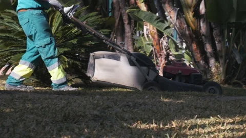 4k daylight close up tracking shot of a public gardener mowing a lawn in a Stock Footage 124213856