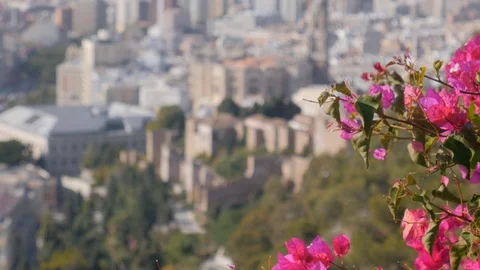 4k daylight high angle selective focus  static shot of a mediterranean city Stock Footage 123997994