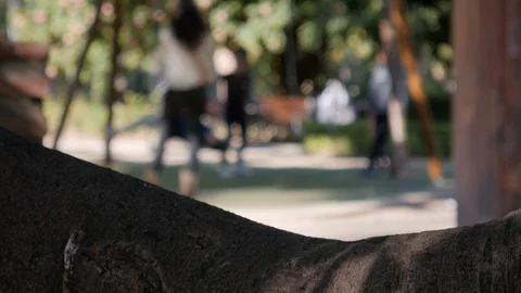 4k daylight selective focus static shot of children in a playground with mother Stock Footage 123476576