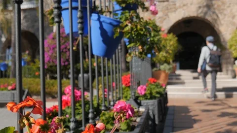 4k daylight selective focus static shot of a group of tourist people entering Stock Footage 124049414
