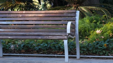 4k daylight static shot of an empty wooden bench in a public park Stock Footage 123429840