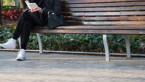 4k daylight static shot of a middle aged woman reading a book on a park bench Stock Footage 123433109