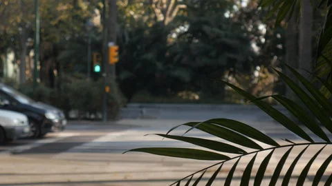 4k daylight static shot selective focus of cars taking off at a traffic light. Stock Footage 123421758