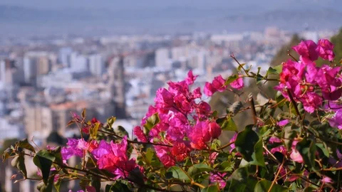 4k daylight wide high angle blurred background static shot of the mediterranean Stock Footage 124048091