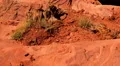 4K Dead Horse Point 03 Tilt Up Colorado River Utah 4k or 4k+ Resolution