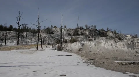 4K - Dead Volcano Forest Stock-Footage 47965102