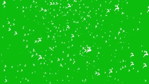 4k deer green screen video Stock Footage 258893670