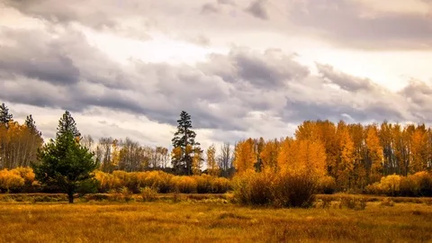 4K Deschutes River near Dillon Falls Bend OR Vídeos de archivo 70842853