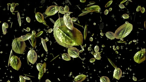 4K design elements group of green leaves flying. Stock Footage 259542170