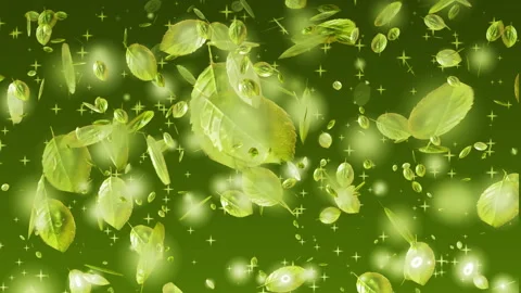 4K design elements group of green leaves flying. Video stock 262710852