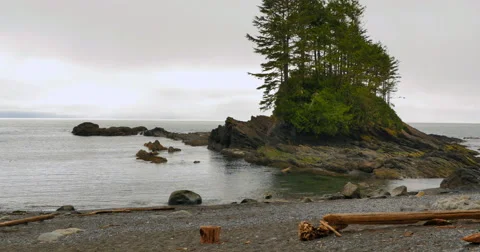 4K Desolate Island Inlet, Pacific North West Coast, Grey Sky Day Stock Footage 48983616