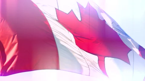 4K Diffused Shot of Large Canadian Maple Leaf Flag, National Symbol Video stock 65407188