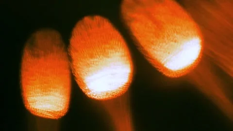 4K Digital background with colored soft noise effect. Unique blend of vintage Видео 330072047