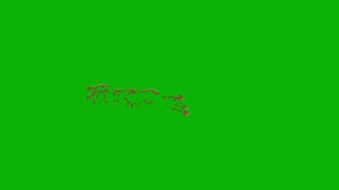 4K Dirty Water Flow and Splash Effects with Green Screen Stock Footage 318886323
