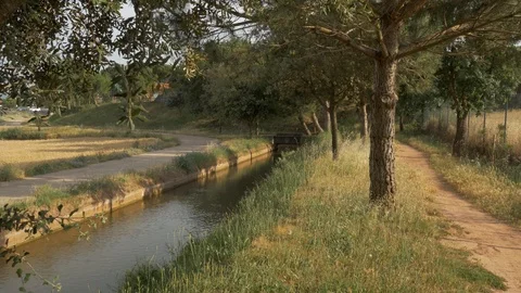 4K Ditch stream river water trees acequia irrigation canal flowing afternoon  Video stock 113420306