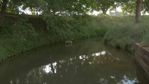 4K Ditch stream river water dirty acequia irrigation canal shade Stock Footage 113423047