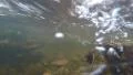 4K diver underwater in strong stream bubbles, very clear water and bubbles 4k or 4k+ Resolution