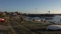 4k Dog, boats and sailing ships lying at anchor at Avor beach sunset - Portugal 4k or 4k+ Resolution
