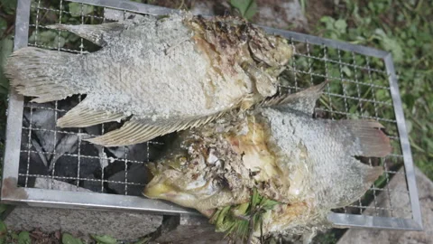 4K Dolly-in with camera roll fish grilling in the rural style Stock Footage 337476472