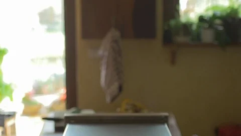 4k dolly drying apples Stock Footage 70997325