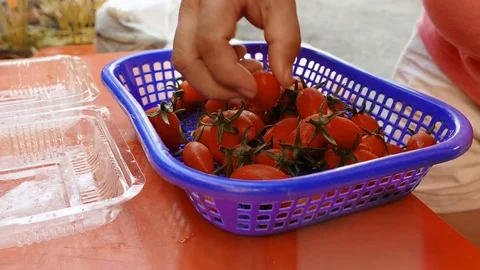 4K dolly, hand selecting fresh tomatoes Video stock 79248546