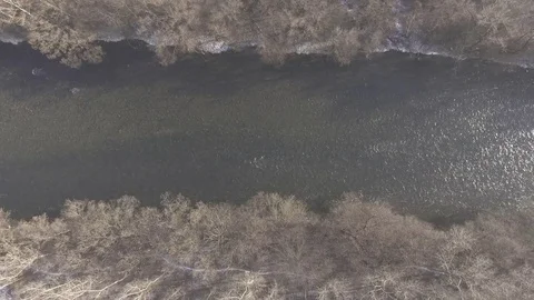 4K - Dolly shot bird view on a river Mur in winter with leafless trees Stock Footage 73123186