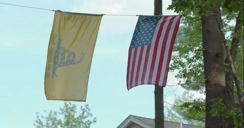 4K Don't Tread on Me Flag and USA Flag Flying Over Residential Road Stock Footage 138055082