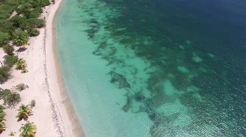 4K Down the Beach to the Forest Stock Footage 63473034