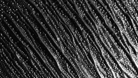 4K Dramatic texture of abstract dark metal background. Textured metallic black. Stock Footage 145198885