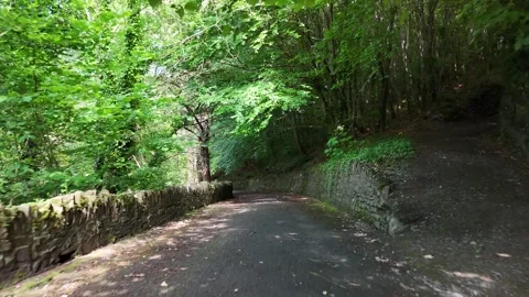 4K Drive Along Stone Walled Road at Heywood Gardens Ireland Stock Footage 332803741