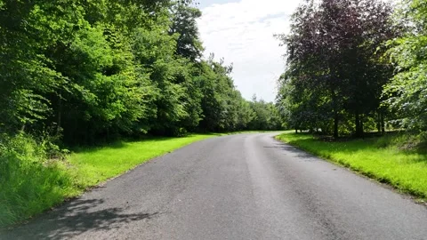 4K Drive Through Tree Lined Road in Heywood Gardens Ireland Stockbeeldmateriaal 332803834