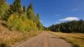 4K Driving through Foliage 03 Grand Canyon North Rim Aspen Forest 4k or 4k+ Resolution