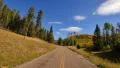 4K Driving through Foliage 05 Grand Canyon North Rim Aspen Forest 4k or 4k+ Resolution