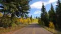 4K Driving through Foliage 06 Grand Canyon North Rim Aspen Forest 4k or 4k+ Resolution
