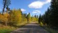 4K Driving through Foliage 10 Grand Canyon North Rim Aspen Forest 4k or 4k+ Resolution