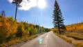 4K Driving through Foliage 11 Grand Canyon North Rim Aspen Forest 4k or 4k+ Resolution
