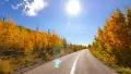 4K Driving through Foliage 12 Grand Canyon North Rim Aspen Forest 4k or 4k+ Resolution