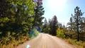 4K Driving through Foliage 16 Grand Canyon North Rim Aspen Forest 4k or 4k+ Resolution