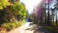 4K Driving through Foliage 17 Grand Canyon North Rim Aspen Forest 4k or 4k+ Resolution