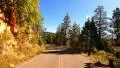 4K Driving through Foliage 18 Grand Canyon North Rim Aspen Forest 4k or 4k+ Resolution