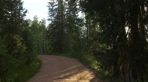 4k Driving through trees on dirt road in colorado perspective Stock Footage 56694305