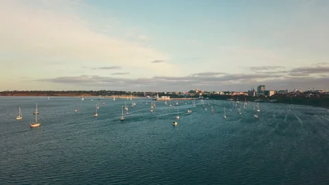 4K Drone aerial point of view over watsons bay in east Sydney, NSW, Australia wi Stock Footage 294620719
