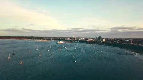 4K Drone aerial point of view over watsons bay in east Sydney, NSW, Australia wi Video stock 294620813