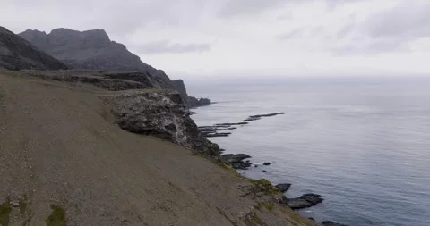 4K Drone Aerial of Steep Cliffs and Ocean Coastline in South Georgia Antarctica  Stock Footage 316445729