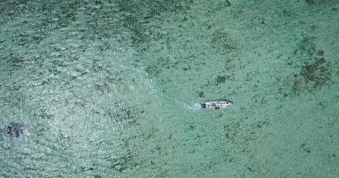 4K Drone Aerial Top Down shot of Speed Boat in Mauritius waters. Stock Footage 66764969