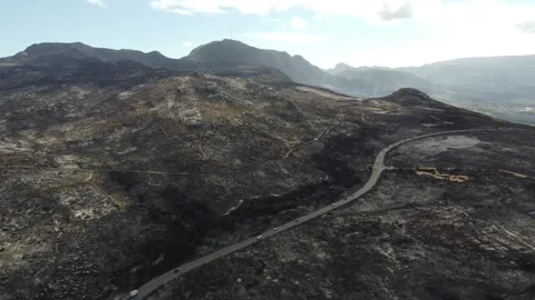 4K Drone Aerial of Wildfire Aftermath in Table Mountain National Park, Cape Town Stock Footage 337440474