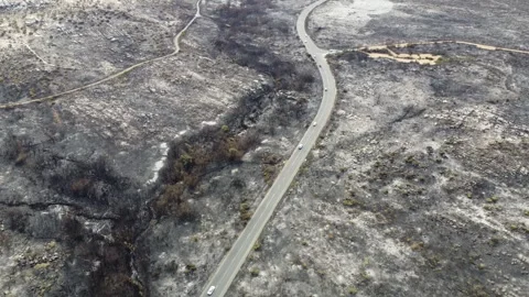 4K Drone Aerial of Wildfire Aftermath in Table Mountain National Park, Cape Town Stock Footage 337440598