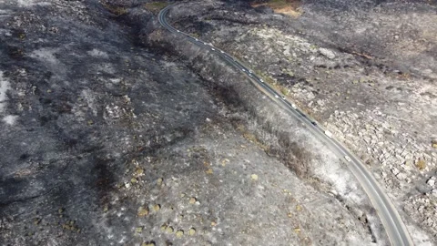 4K Drone Aerial of Wildfire Aftermath in Table Mountain National Park, Cape Town Stock Footage 337440820