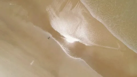 4k drone beach, aerial walking shore, cinematic beach view, drone sand waves Stock Footage 308901959